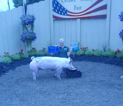Reserve Champion Gilt